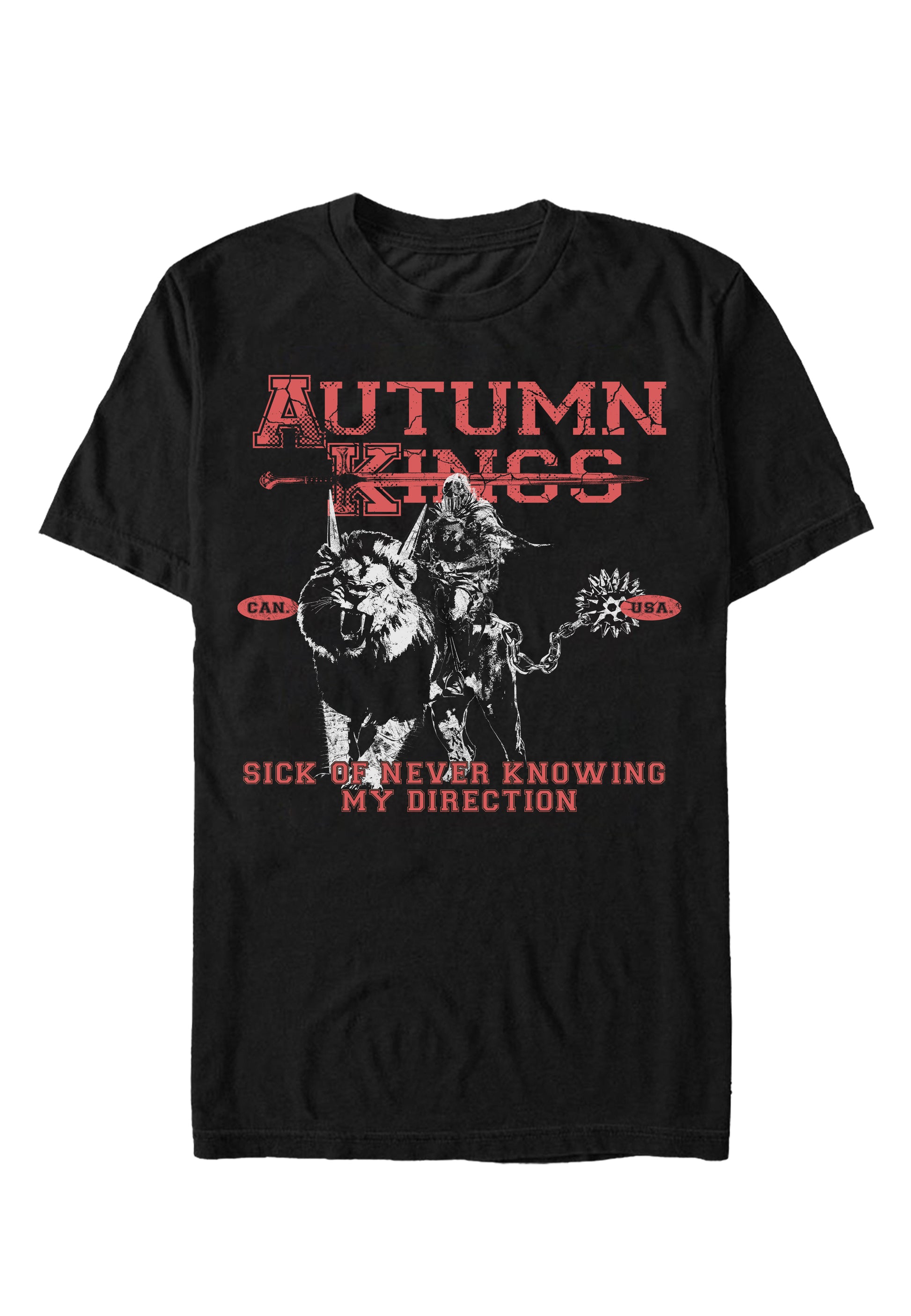 Autumn Kings - Lion - T-Shirt | Neutral-Image